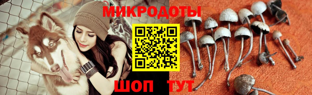 Галлюциногенные грибы мицелий Нефтекумск